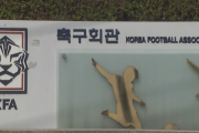 韓国サッカー協会、懲戒処分100人の「赦免」を結局撤回www