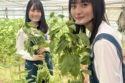 【乃木坂46】各期のトップ2人が『仲が良い』ってこれまでなかった？