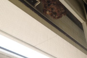 【悲報】ワイの家に蜂の巣ができる