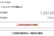 【衝撃】ワイの楽天カード、限界突破してしまう