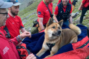 もう無理やて。山頂で歩き疲れて動けなくなった秋田犬。救助隊が13人がかりで山から降ろす