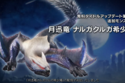 【MHR:S】ルナルガ(ナルガクルガ希少種)は楽しみ！　武器にも期待【モンハンライズ：サンブレイク】