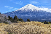 世界で一番美しい山は富士山という風潮