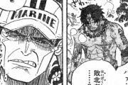 【ワンピースのエースは敗北者？】「弟を庇って死ぬぞ！」読者「エースは無駄死に！」←どうすりゃ良かったんや？
