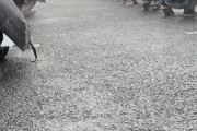 【動画】コミケ、豪雨で大惨事に。会場もガラガラになってしまう
