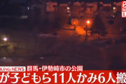 【速報】野犬が次々と子供たちを襲う事件発生、11人が襲われ6人が緊急搬送
