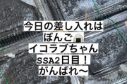 【=LOVE】指原莉乃さんと『ひざつき製菓』さんからイコラブちゃんに差し入れ??【イコラブ6周年コンサート】