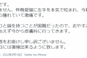 ミシュランラーメン店「蔦」大西祐貴店主　猫にかまれて急逝