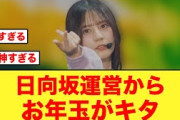 【お年玉】日向坂46運営、新年早々神ムーブを見せる