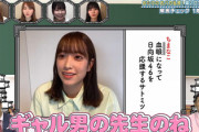 【日向坂46】佐々木久美が見たオードリー若林さんの「ギャル男」コント、金スマで流れるwwww