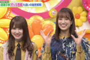 【日向坂46】実況！ささくかとし、ヒルナンデスにて爪痕残し中ｗｗｗｗｗｗｗｗｗｗｗｗ