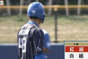 【紅白戦】日ハム水野、レフトオーバーの2点タイムリーツーベース！