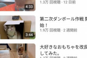 【悲報】海でたまたま猫を拾ったYouTuber、なぜか再生数が伸びなくなるｗｗｗｗｗ
