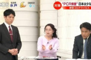 【放送事故】韓国のコロナ検査を称賛する専門家・岡田晴恵氏、速攻で論破されるｗｗｗｗ