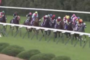 G1は勝てなかったけどとにかく好きだった馬