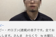 【悲報】逮捕されたボビーオロゴンの親戚、YouTubeに大量発生