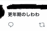 【朗報】「月曜日のたわわ」問題、「更年期のしわわ」というパワーワードが誕生し無事に完全決着