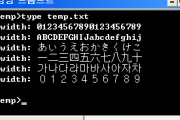 韓国人駐在員「パソコンで日本語を入力する時、なんで全角・半角を区別しなきゃいけないの？」
