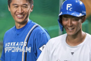 来年の日本ハムの内野ｗｗｗｗｗｗｗ