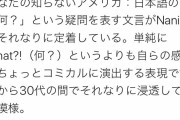 【ガチ】日本語の「なにっ」アメリカの若者に浸透してしまうｗｗｗｗｗ