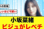 【日向坂46】小坂菜緒さん、美しすぎて顔面偏差値がバグってしまう