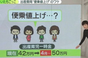 岸田「頼む…一時金8万円増やすから子供産んでくれええ！！」　産婦人科「ほい8万値上げねｗ」