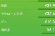 【画像あり】手取り19万円ワオ、もう切り詰めるものがなく咽び泣く?