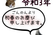 ごんのんを見てくれて来た皆様とそのご家族が今年も無病息災であります様に。