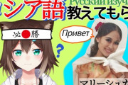 【にじさんじ】野良猫の「ロシア語教えてもらう配信」待機所がロシア語塗れで草