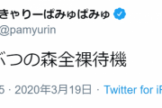【悲報】きゃりーぱみゅぱみゅ（２７）さん「あつ森全裸待機」若者に通じず「服着てよ」などの声ｗｗｗｗｗｗｗｗｗ