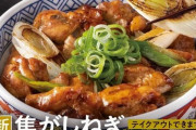 【画像】吉野家「助けてー卵不足で親子丼が提供できないの！」　代打で「焼き鳥丼」発売