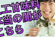 メンタリストのDaiGoさんって何でこんなに痛い子になっちゃったの？