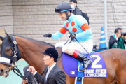 有馬記念でルメールが騎乗する馬を予想するスレ