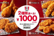【数量限定】ケンタッキーの｢2種類選べる1000円パック｣買いにいくやつｗｗｗｗｗｗｗ