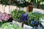 ワシの実家のこじんまりした花屋が意外と儲かってる理由