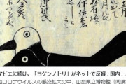 【疫病】今度は江戸時代のコレラ流行を予言した「ヨゲンノトリ」が人気に
