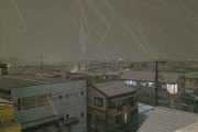 【緊急】東京、大雪ｗｗｗｗ