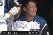 【朗報】日ハム高濱祐仁、打率3割に乗せた模様