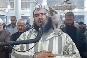ラマダンの祈りの最中、猫が導師の肩に飛び乗り特別参加。甘えながらキスをする姿がかわいすぎる