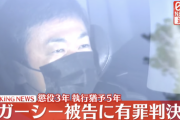 【速報】ガーシー被告に懲役3年、執行猶予5年の有罪判決