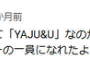 YAJU&U、コメントの増え方がすごい