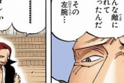 白ひげ「どんな敵にくれてやったんだその左腕…」シャンクス「……コレか」