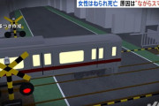 【悲報】ながらスマホをしていたまんさん、自分が踏切内に立っていることに気づかず死亡