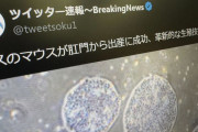 【悲報】「オスのマウスが肛門から出産」というフェイクニュースがSNSで大拡散中