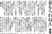 【悲報】秋元議員「３００万なんてはした金もらわねえよ。数百万で国会議員が？ＩＲに関して何の権限もねぇし」