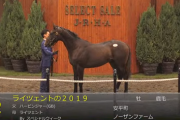 【セレクトセール】プラウドスペルの2019（父ドゥラメンテ）1億６千万円で落札　他