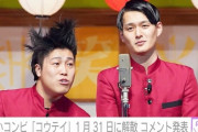 【悲報】 コウテイ、解散