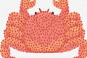 カニ「食べられないように硬くなったろ、トゲ生やしたろ」
