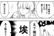 【FGO】アナスタシア「ねぇ冥界の食文化ってどんな感じなの？」　エレちゃん「え？埃だけど」