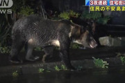ヒグマが住宅街に3夜連続出没…住民は不安「クマがうちの階段を…現実だとは思えない」 札幌南区